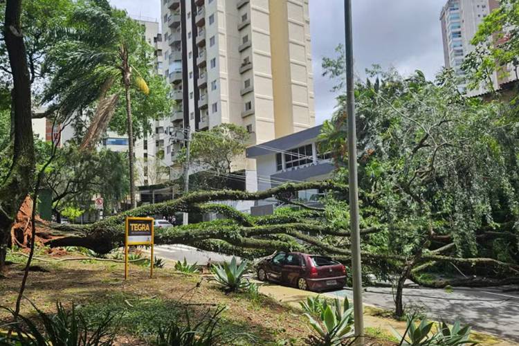 Ciclone extratropical causa estragos na Grande São Paulo e deixa 1,5 milhão de imóveis sem luz