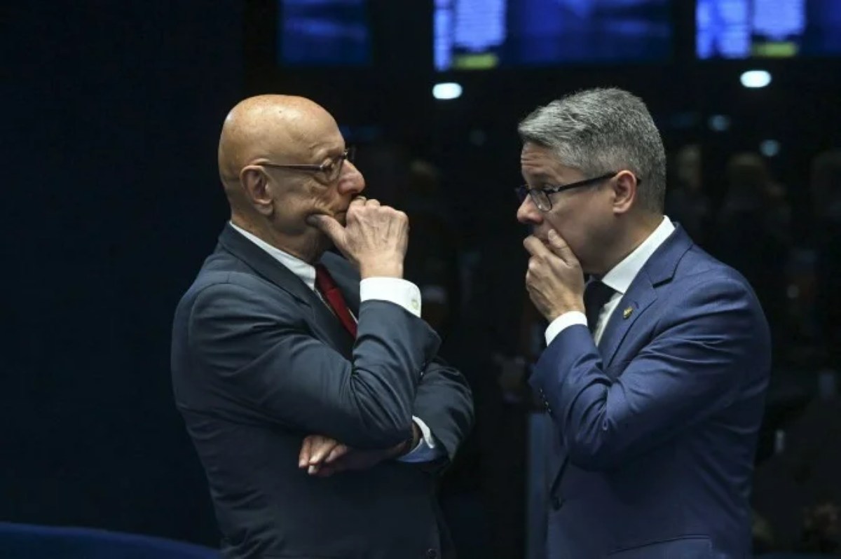 Relator do texto, Amin e Vieira