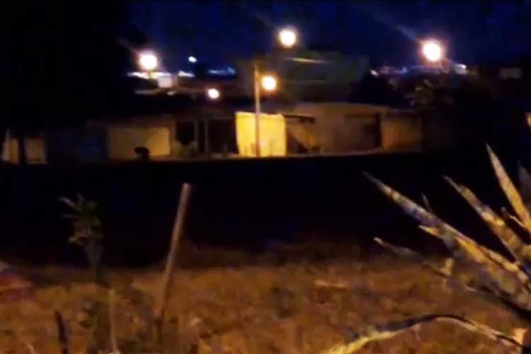 Identidade de lobisomem visto no Brasil enfim é revelada: ‘Era um…’