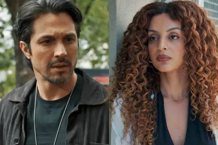 Paulinho e Viviane Globo