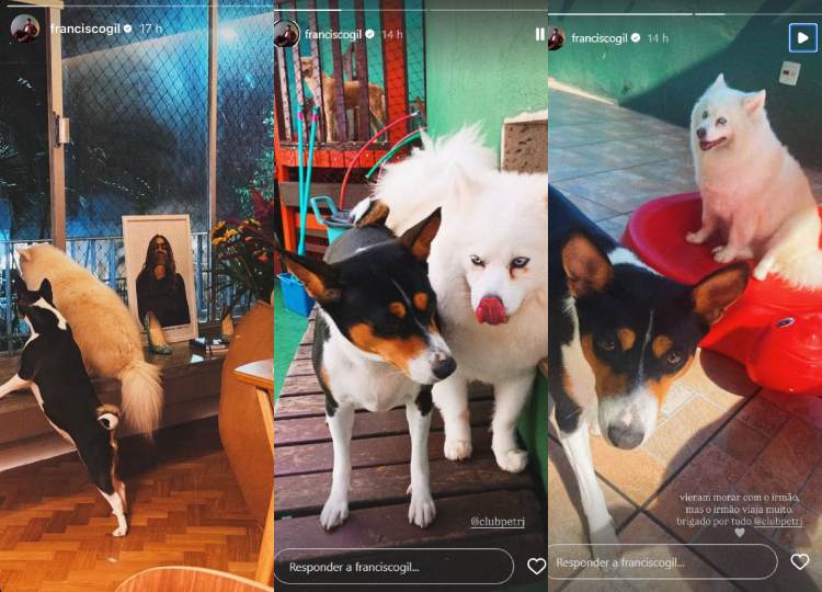 Post do Francisco Gil (Reprodução: Instagram)