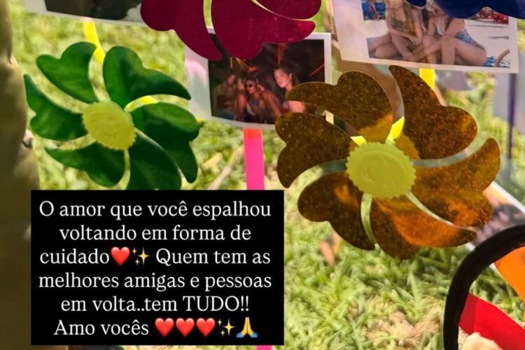 Stories da Schynaider falando sobre Anne (Fonte: Instagram)