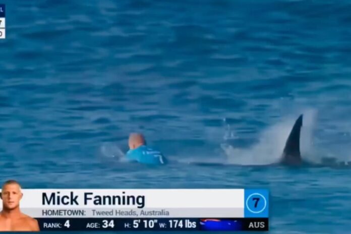 Mick Fanning