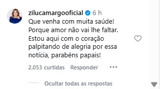 Post da Zilu Camargo Post da Zilu Camargo