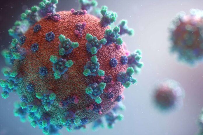 Vírus Vírus - Foto: Reprodução