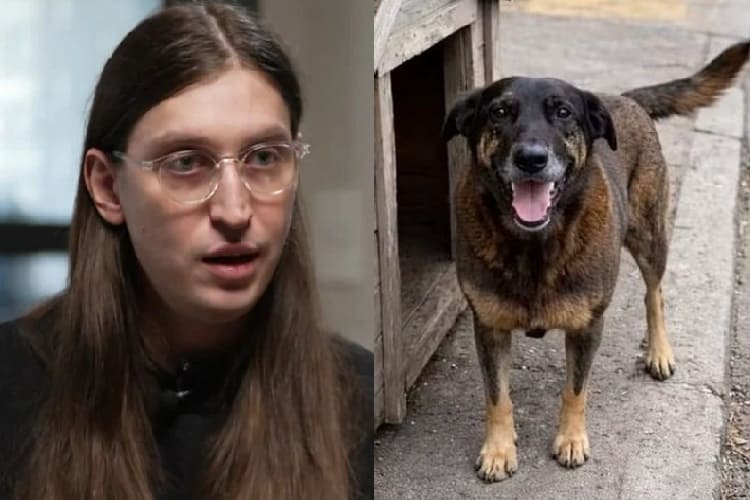 Felca toma atitude sobre caso Orelha (Foto: Montagem/Globo/Redes Sociais)