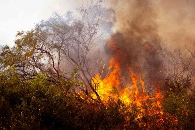 Inc&ecirc;ndio na Austr&aacute;lia