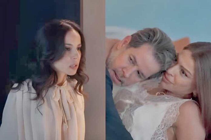 Zenilda, Arminda e Ferrete (Reprodução: TV Globo)