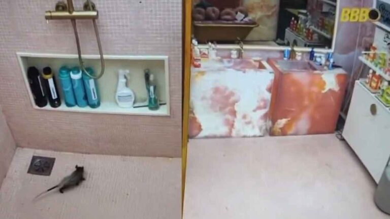 BBB26: Produção toma atitude após animal invadir a casa do reality