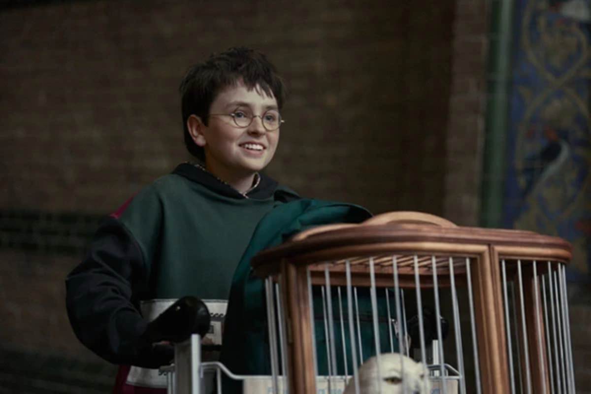 Harry Potter - HBO - Aidan Monaghan