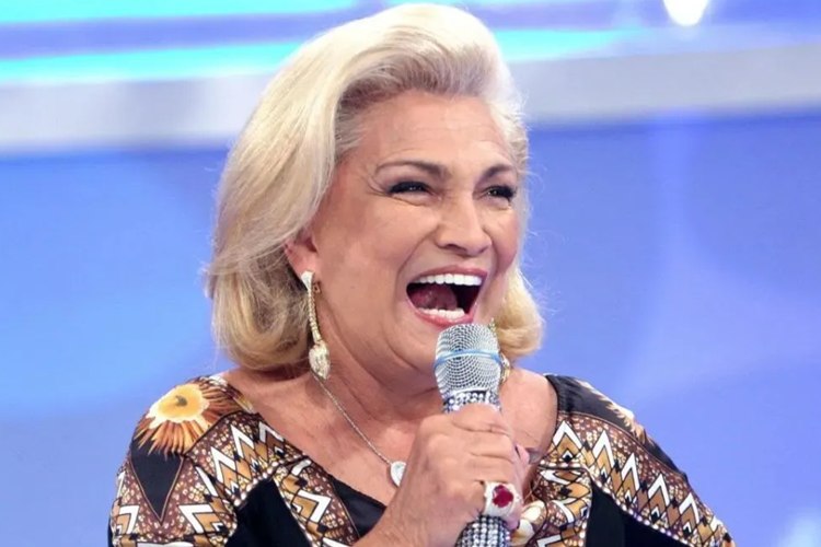 Uma das novelas mais famosas é baseada na vida de Hebe e ninguém sabia