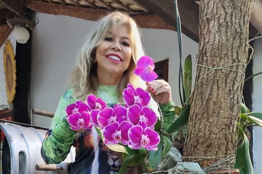 Lauristela Guimarães Lauristela Guimarães foi vítima de complicações de um câncer de cérebro (Foto: Redes Sociais)