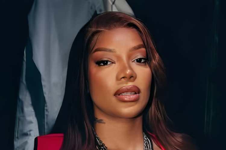 Ludmilla rompe silêncio sobre confusão na Câmara Municipal de Niterói: “Atacada e quase agredida”