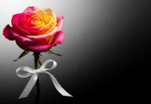 Filha de ator foi encontrada morta