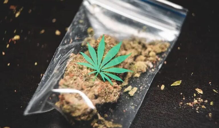 Famoso promete ‘Bolsa Maconha’ caso seja eleito deputado federal