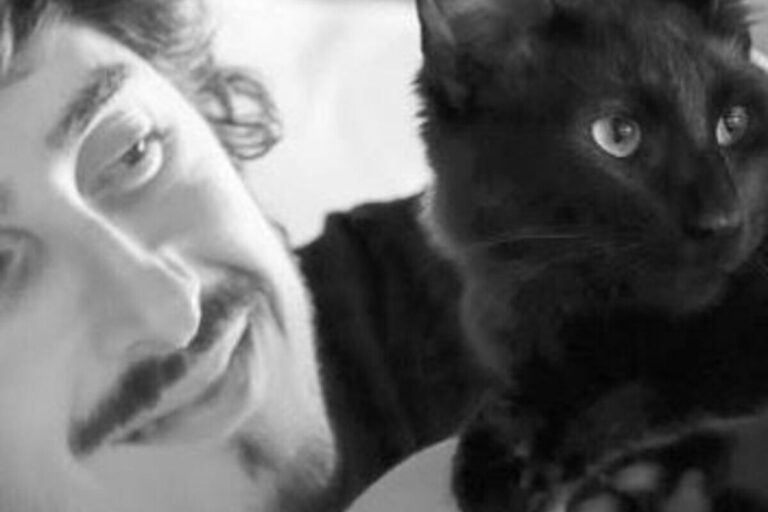 Influenciador relata perda de seu gato por conta de envenenamento: “ressignificar essa dor”