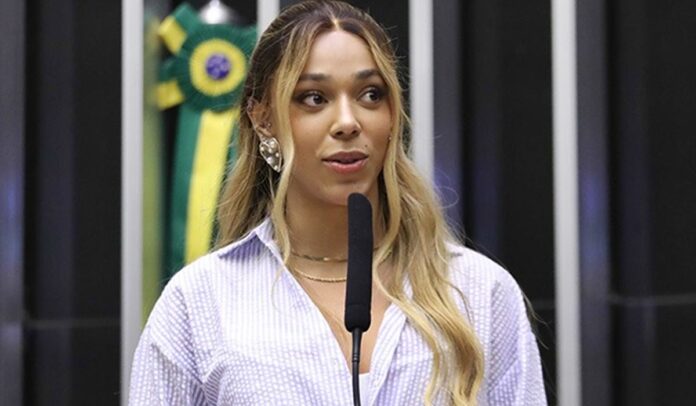 Erika Hilton (Foto: Captura de Imagem/ Câmara dos Deputados)