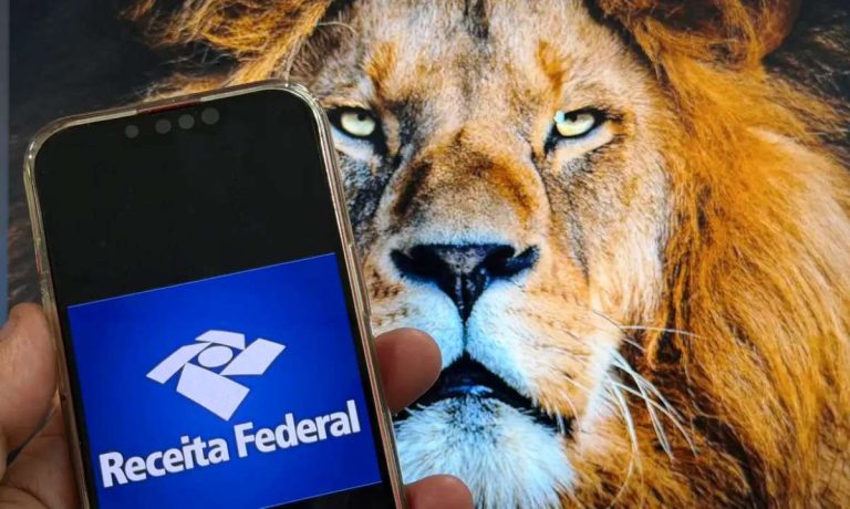 Leão abre consulta da malha fina do Imposto de Renda; saiba como fazer