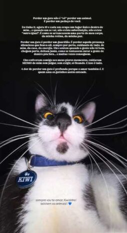 Post da Mel Maia sobre a morte do gato (Reprodução: Instagram)