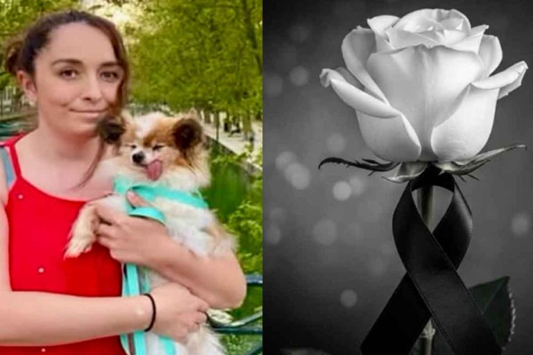 Cachorro mais velho do mundo morre e idade surpreende: ‘Tudo isso?’