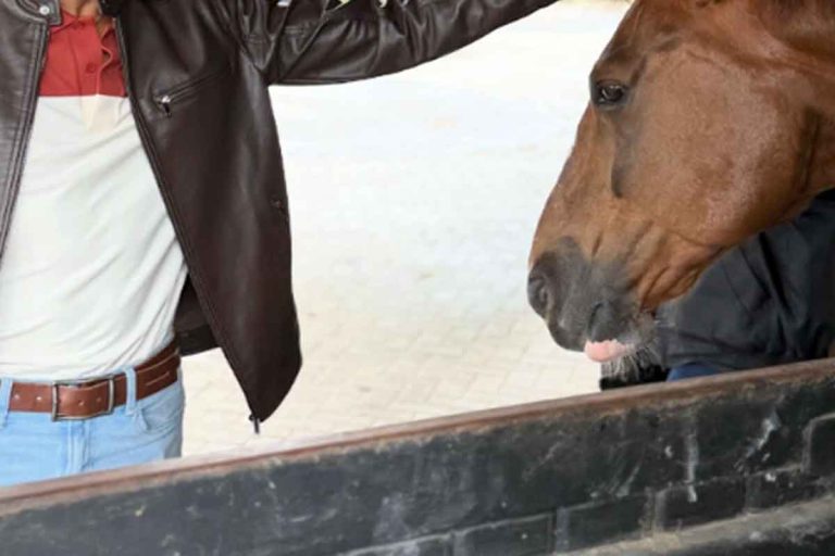 Ex-BBB publica registro ao lado de cavalo e fãs notam referência à ‘Fazenda’