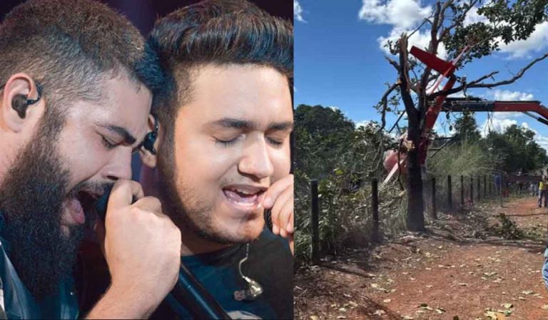 Helicóptero da dupla Henrique e Juliano cai em fazenda e fica pendurado em árvore