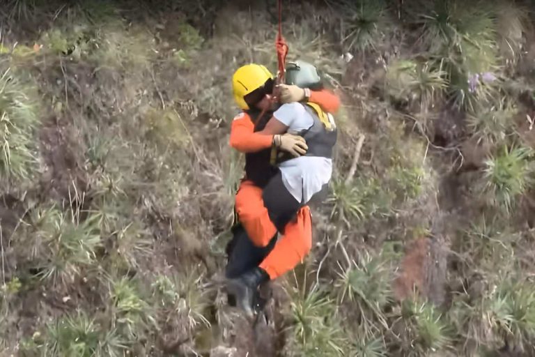 Brasil: Mulher sobrevive pendurada 24h após ser jogada de penhasco pelo ex-marido