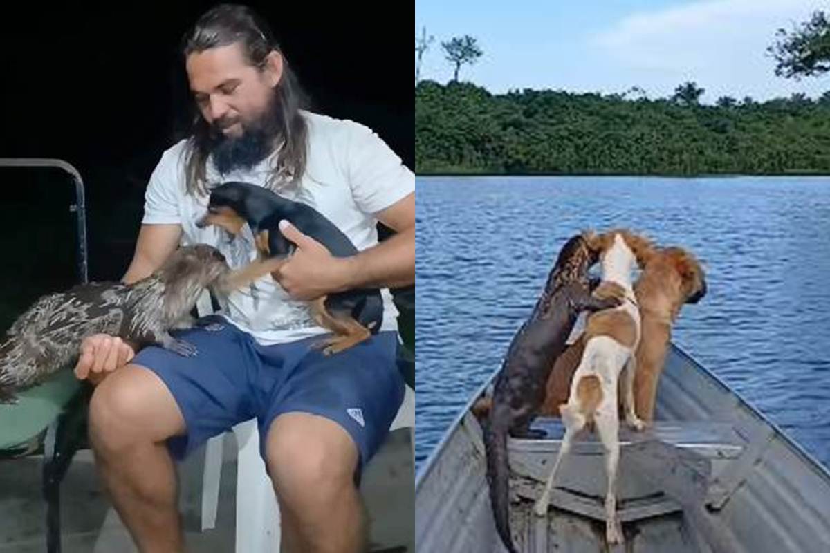 Lontra e Valdney - Insta