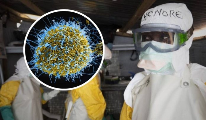 Surto de Ebola