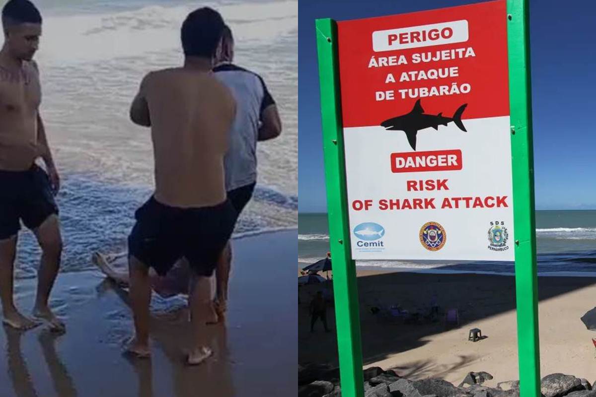 Adolescente tubarão - redes sociais