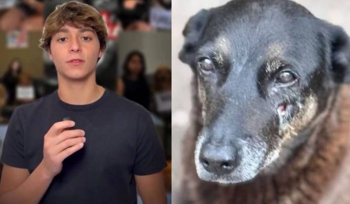 Igor Zampieri e o Cão Orelha - Foto: Instagram