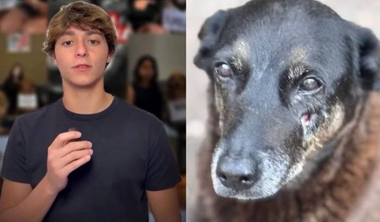 Igor Zampieri surge nas redes e nega crime em caso do Cão Orelha