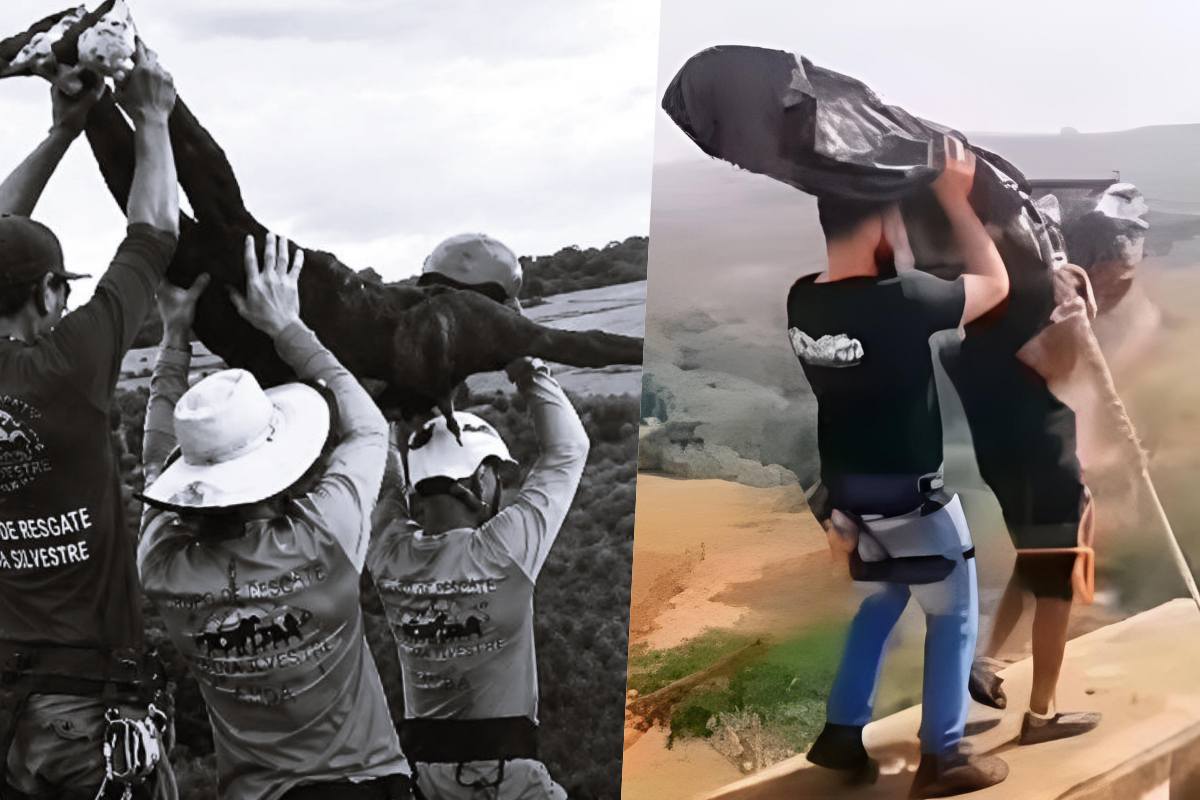 Maria Eduarda e post de Instrutor há 04 anos atrás Maria Eduarda e post de Instrutor há 04 anos atrás
