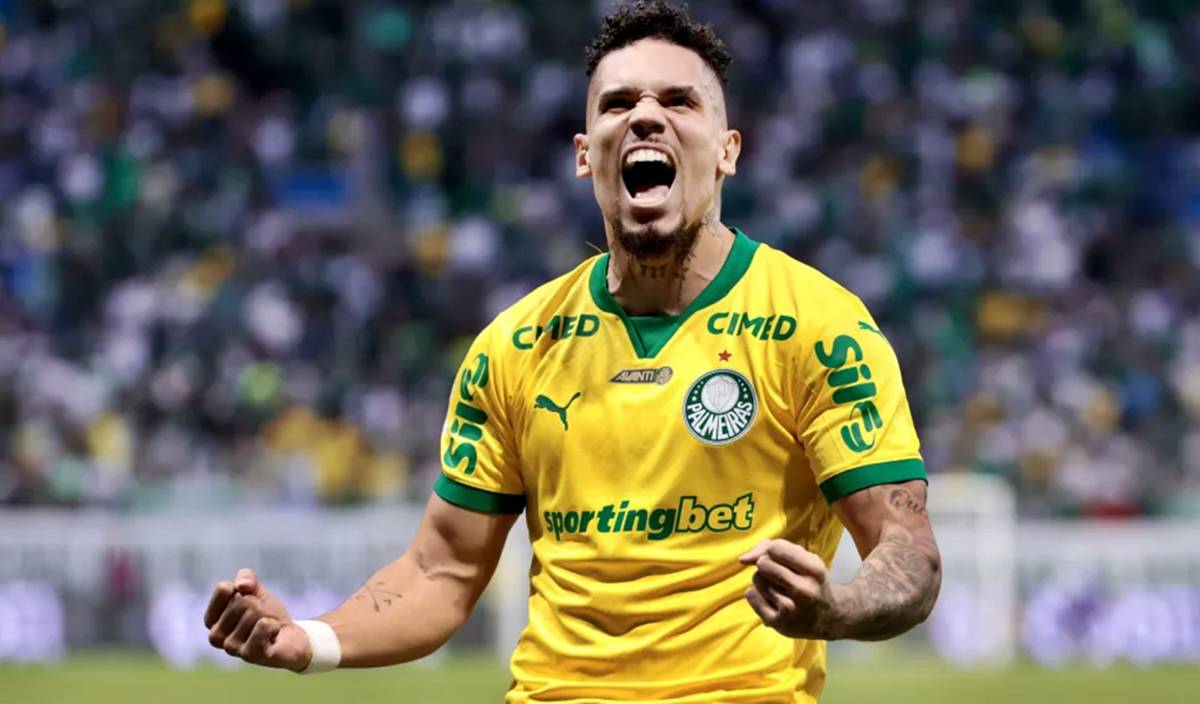 Paulinho do Palmeiras Paulinho do Palmeiras