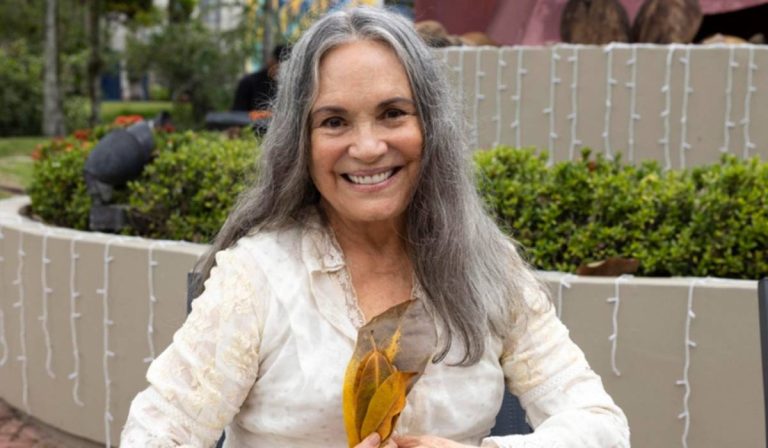 Globo crava retorno de Regina Duarte e novela é anunciada
