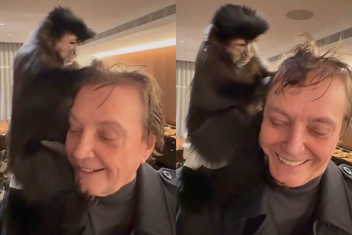 Fabio Jr e macaco - Instagram