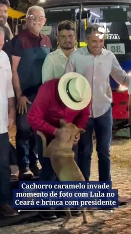 Lula Lula