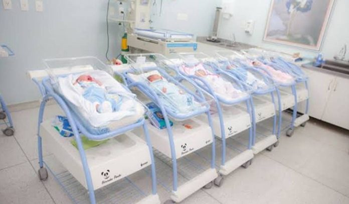 Maternidade Maternidade