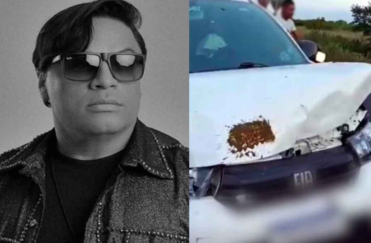 Neto Araújo