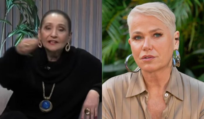 Sonia Abrão, Xuxa Meneghel (Reprodução: RedeTV/TV Globo)
