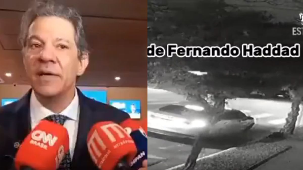 Fernando Haddad (Captura de tela/ Reprodução)