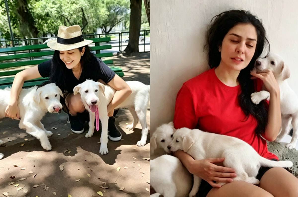 Letícia Sabatella e os cães - Instagram