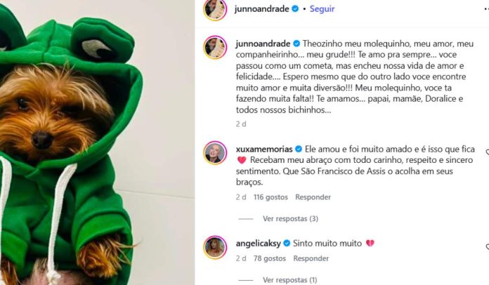 Post do Junno e Angélica
