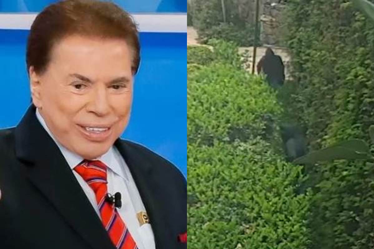Silvio Santos mansão - Reprodução