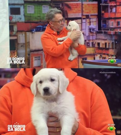 Craque Neto mostrando o cachorro ao vivo (Reprodução: Band TV)