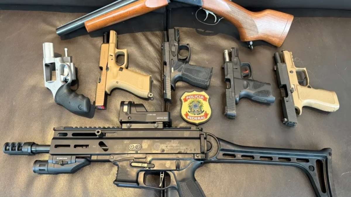 pf-apreende-sete-armas-em-busca-e-apreensao-contra-o-deputado-federal-mario-frias-pl-sp-1789042537288_v2_900x506 Armas de Mario Frias (Divulgação/ PF)