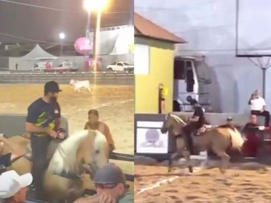 Henrique no cavalo