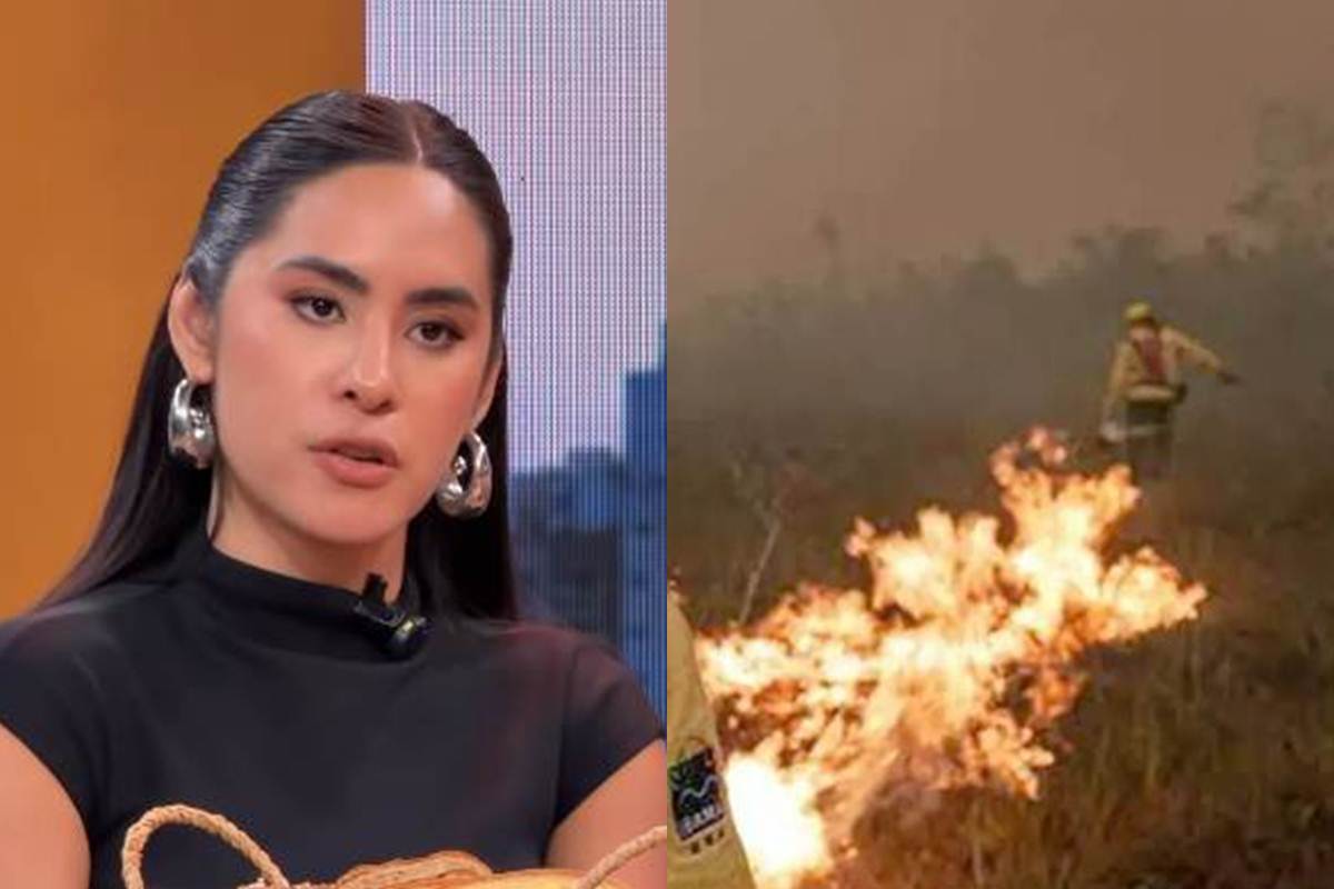 Isabelle Nogueira queimadas - Instagram e Ibama