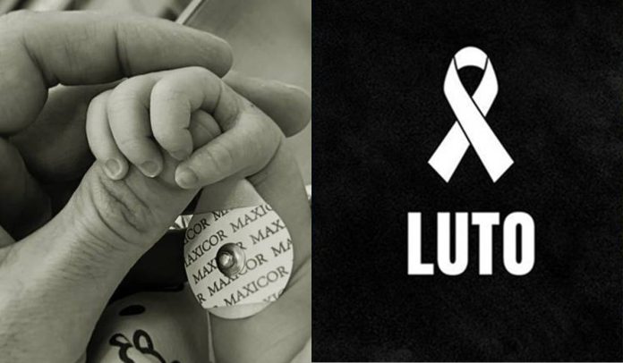 Morre Aurora, filha de Marcelo Zagonel e Ana Paula Morre Aurora, filha de Marcelo Zagonel e Ana Paula