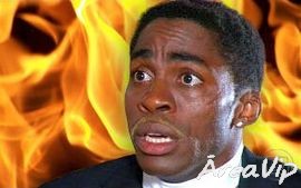 Foguinho - Cobras & Lagartos Cobras & Lagartos